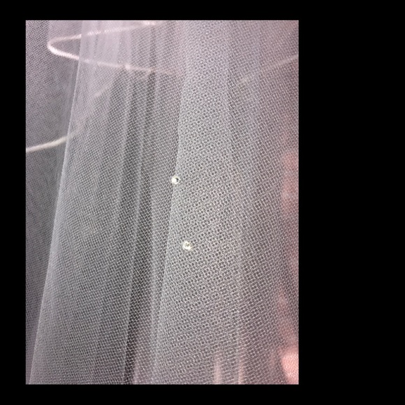 Custom Swarovski Cathedrall Veil main image 5